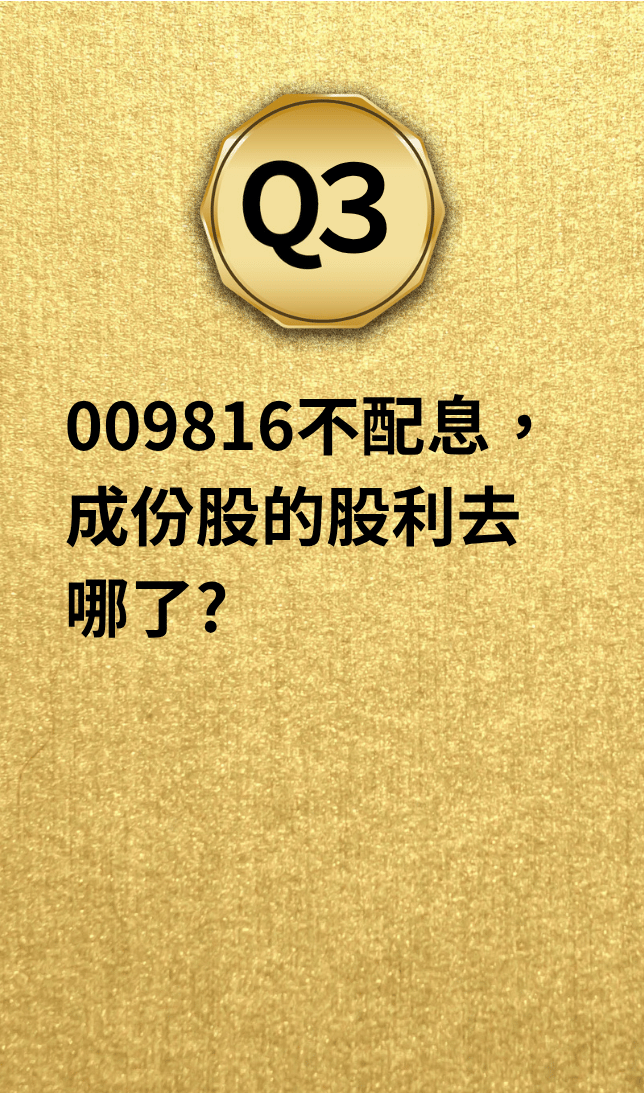 你的段落文字 (4)